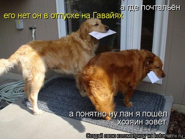 Котоматрица: а где почтальён его нет он в отпуске на Гавайях а понятно ну лан я пошёл хозяин зовёт