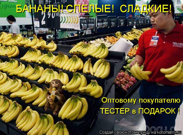 Котоматрица: БАНАНЫ! СПЕЛЫЕ!  СЛАДКИЕ! Оптовому покупателю ТЕСТЕР в ПОДАРОК !