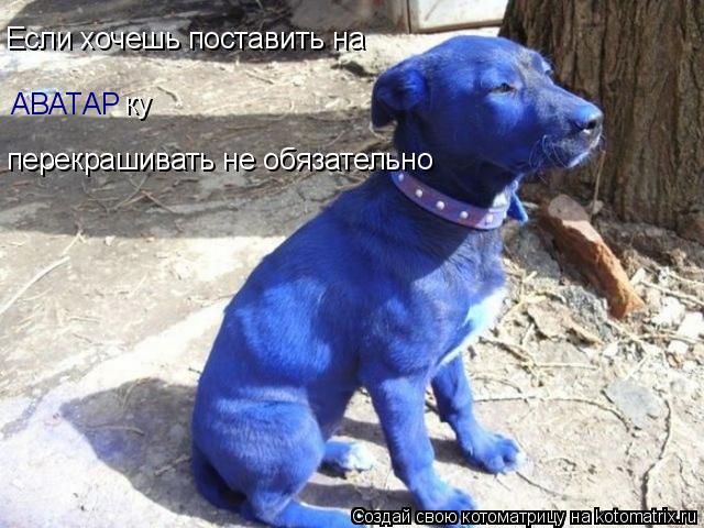 Котоматрица: Если хочешь поставить на АВАТАР ку перекрашивать не обязательно