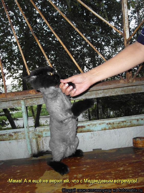 Котоматрица: -Мама! А я ещё не верил ей, что с Медведевым встречусь!