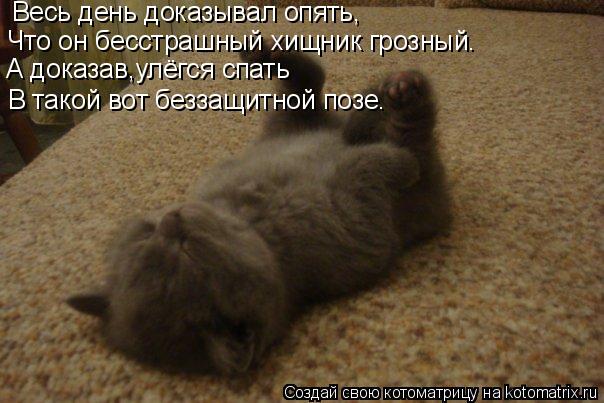 Весь день доказывал опять, А доказав,улёгся спать Что он бесстрашный хищник грозный. В такой вот безз... Котоматрица: Весь день доказывал опять, А доказав,улёгся спать Что он бесстрашный хищник грозный. В такой вот беззащитной позе.