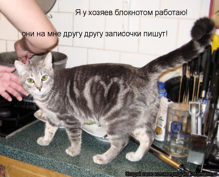 Котоматрица: Я у хозяев блокнотом работаю! они на мне другу другу записочки пишут!