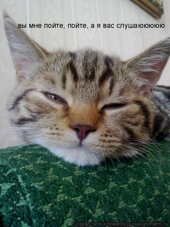 Котоматрица: вы мне пойте, пойте, а я вас слушаююююю