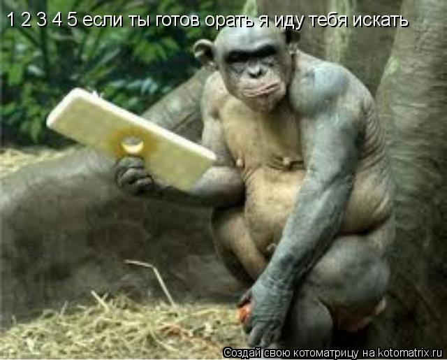1 2 3 4 5 если ты готов орать я иду тебя искать... Котоматрица: 1 2 3 4 5 если ты готов орать я иду тебя искать