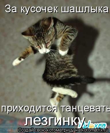 Котоматрица: За кусочек шашлыка приходится танцевать  лезгинку.