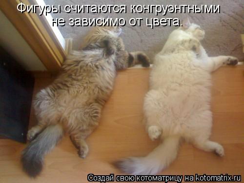 Котоматрица: Фигуры считаются конгруэнтными не зависимо от цвета.