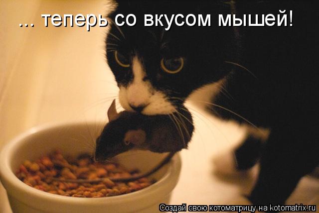Котоматрица: ... теперь со вкусом мышей!