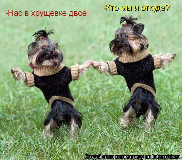 Котоматрица: -Нас в хрущёвке двое! -Кто мы и откуда?