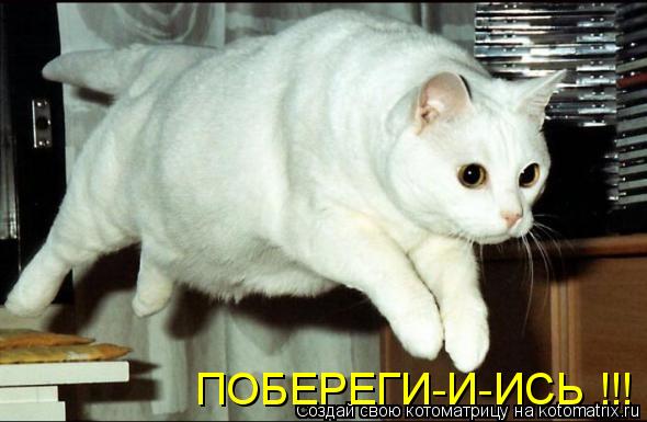 Котоматрица: ПОБЕРЕГИ-И-ИСЬ !!!