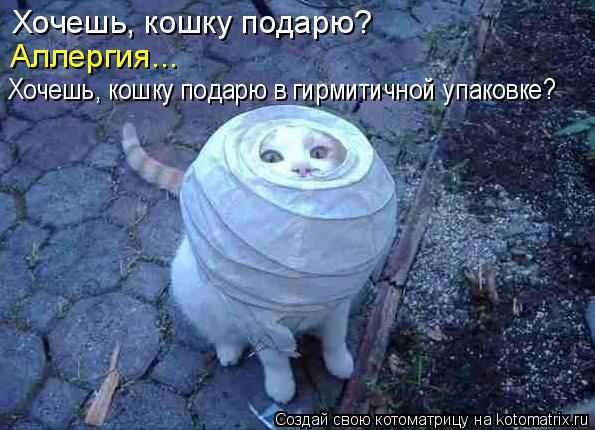 Котоматрица: Хочешь, кошку подарю? Аллергия... Хочешь, кошку подарю в гирмитичной упаковке?