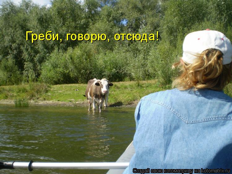 Котоматрица: Греби, говорю, отсюда!