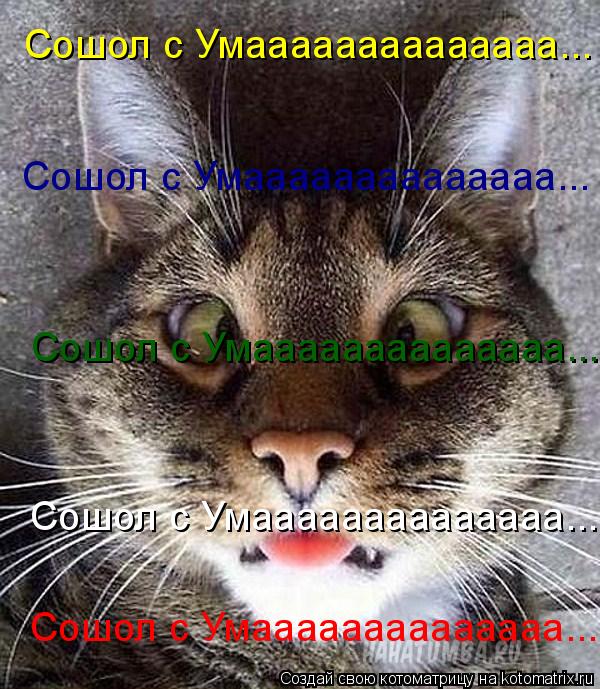 Котоматрица: Сошол с Умаааааааааааааа... Сошол с Умаааааааааааааа... Сошол с Умаааааааааааааа... Сошол с Умаааааааааааааа... Сошол с Умаааааааааааааа...