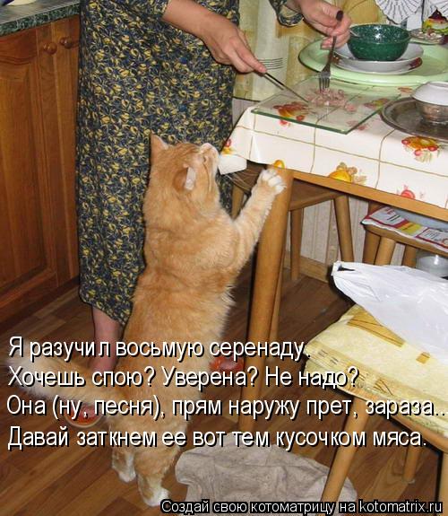 Я разучил восьмую серенаду. Хочешь спою? Уверена? Не надо? Давай заткнем ее вот тем кусочком мяса. Он... Котоматрица: Я разучил восьмую серенаду. Хочешь спою? Уверена? Не надо? Давай заткнем ее вот тем кусочком мяса. Она (ну, песня), прям наружу прет, зараза...