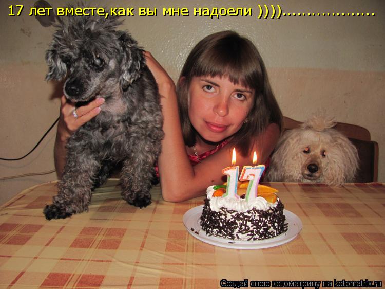 Котоматрица: 17 лет вместе,как вы мне надоели ))))...................