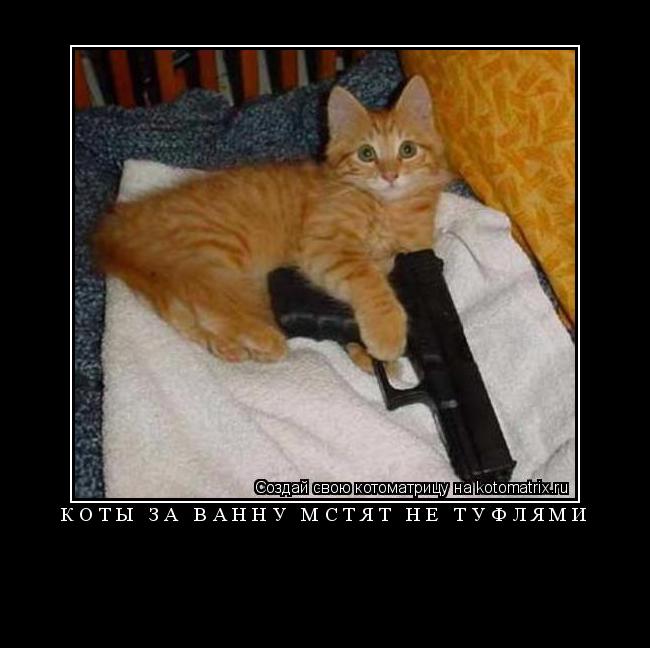 Котоматрица: КОТЫ ЗА ВАННУ МСТЯТ НЕ ТУФЛЯМИ 