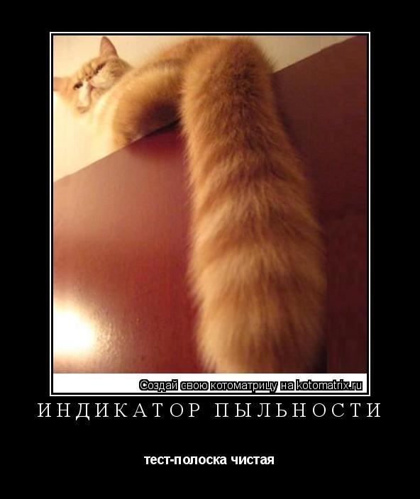 Котоматрица: Индикатор пыльности тест-полоска чистая