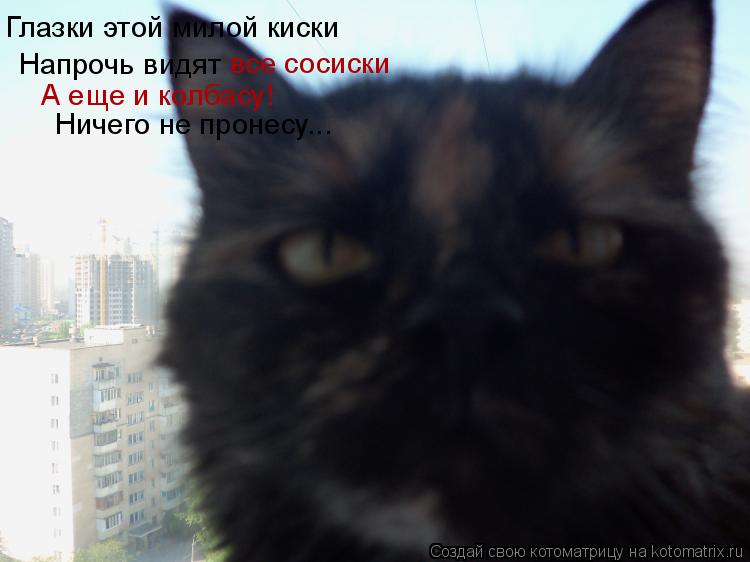 Котоматрица: Напрочь видят все сосиски А еще и колбасу! Глазки этой милой киски Ничего не пронесу...