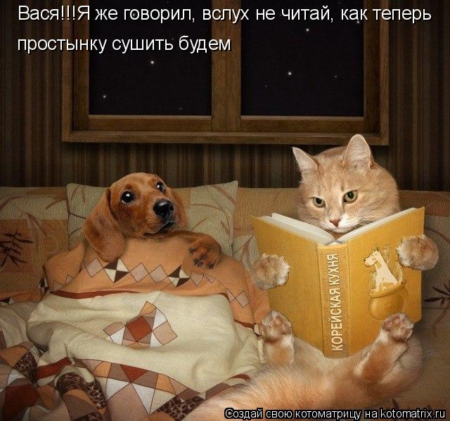 Котоматрица: Вася!!!Я же говорил, вслух не читай, как теперь простынку сушить будем