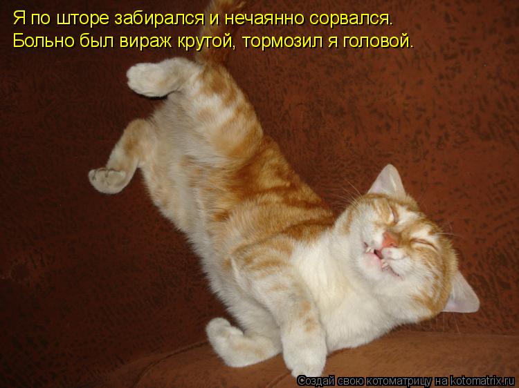 Котоматрица: Я по шторе забирался и нечаянно сорвался. Больно был вираж крутой, тормозил я головой.