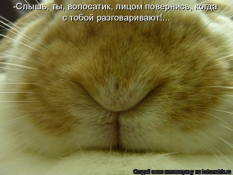 Котоматрица: -Слышь, ты, волосатик, лицом повернись, когда с тобой разговаривают!...