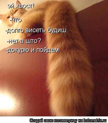 Котоматрица: эй хвост! -что -долго висеть будиш -нет а што? -докурю и пойдём