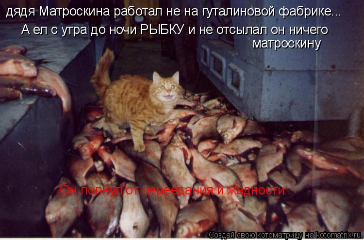 Котоматрица: дядя Матроскина работал не на гуталиновой фабрике... А ел с утра до ночи РЫБКУ и не отсылал он ничего  А ел с утра до ночи РЫБКУ и не отсылал он