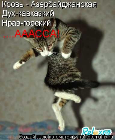 Котоматрица: Кровь - Азербайджанская Дух-кавказкий Нрав-горский ....АААССА!