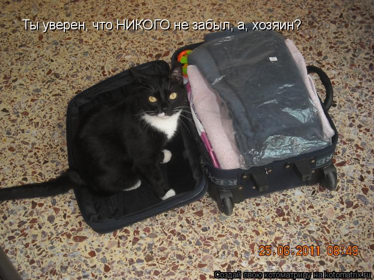 Котоматрица: Ты уверен, что НИКОГО не забыл, а, хозяин?