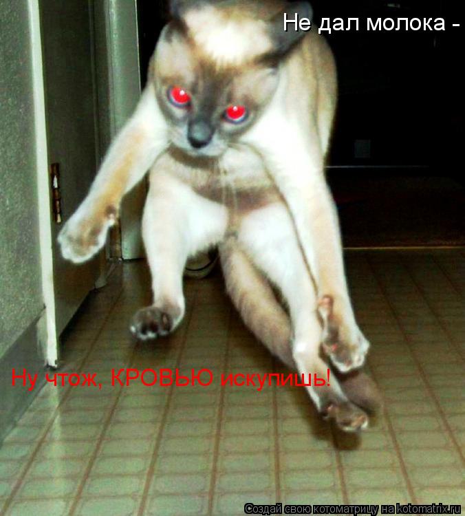Котоматрица: Не дал молока Ну чтож, КРОВЬЮ искупишь! -