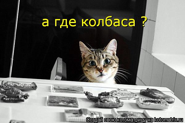 Котоматрица: а где колбаса ?