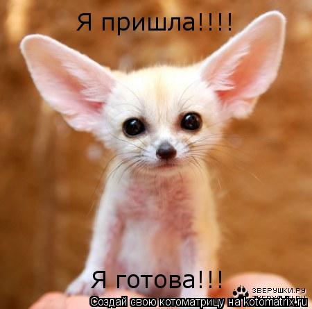 Котоматрица: Я пришла!!!! Я готова!!!