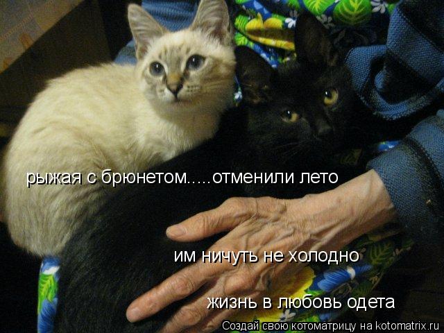 Котоматрица: рыжая с брюнетом.....отменили лето им ничуть не холодно жизнь в любовь одета
