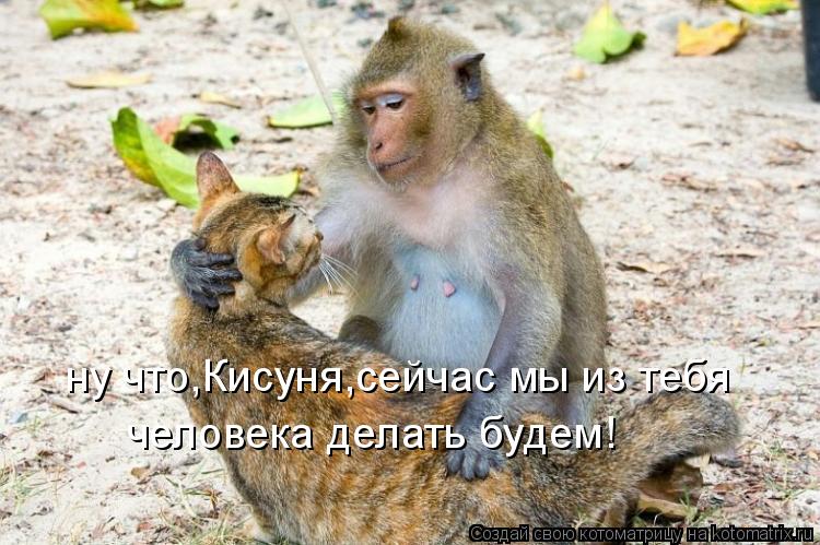 Котоматрица: ну что,Кисуня,сейчас мы из тебя человека делать будем!