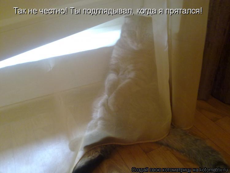 Котоматрица: Так не честно! Ты подглядывал, когда я прятался!