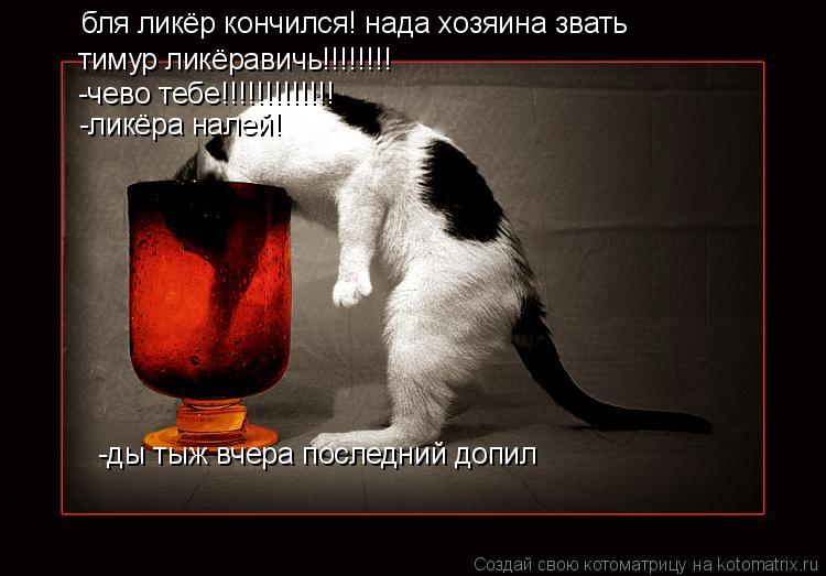 Котоматрица: бля ликёр кончился! нада хозяина звать тимур ликёравичь!!!!!!!! -чево тебе!!!!!!!!!!!!! -ликёра налей! -ды тыж вчера последний допил