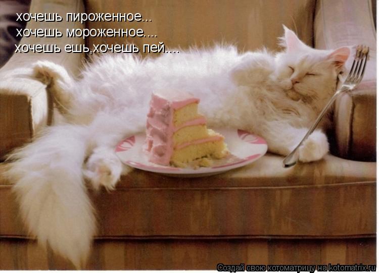 Котоматрица: хочешь пироженное... хочешь мороженное.... хочешь ешь,хочешь пей....
