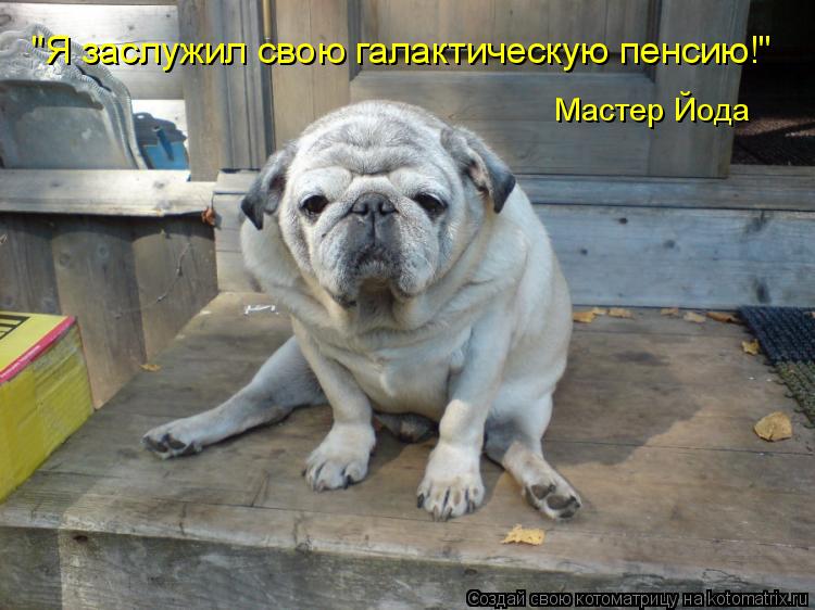 Котоматрица: "Я заслужил свою галактическую пенсию!" Мастер Йода