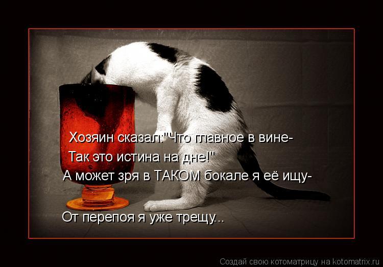 Котоматрица: Хозяин сказал:"Что главное в вине- Так это истина на дне!" А может зря в ТАКОМ бокале я её ищу- От перепоя я уже трещу...