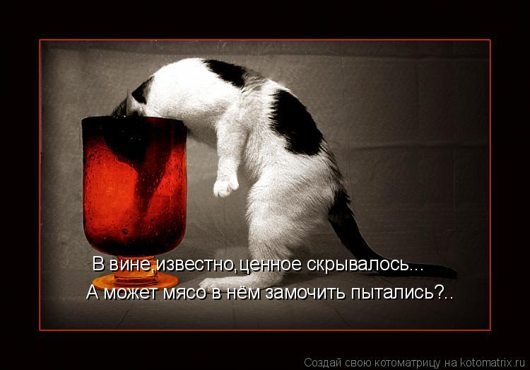 Котоматрица: В вине,известно,ценное скрывалось... А может мясо в нём замочить пытались?..