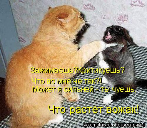 Котоматрица: Может я сильней - ты чуешь, Что растёт вожак! Что во мне не так?! Зажимаешь?Критикуешь?