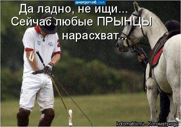 Да ладно, не ищи... Сейчас любые ПРЫНЦЫ нарасхват...... Котоматрица: Да ладно, не ищи... Сейчас любые ПРЫНЦЫ нарасхват...