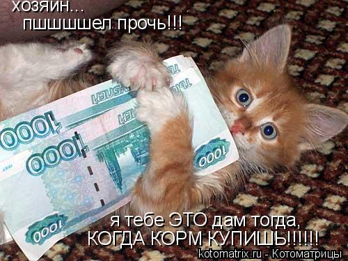 Котоматрица: хозяин... пшшшшел прочь!!! я тебе ЭТО дам тогда,  КОГДА КОРМ КУПИШЬ!!!!!!