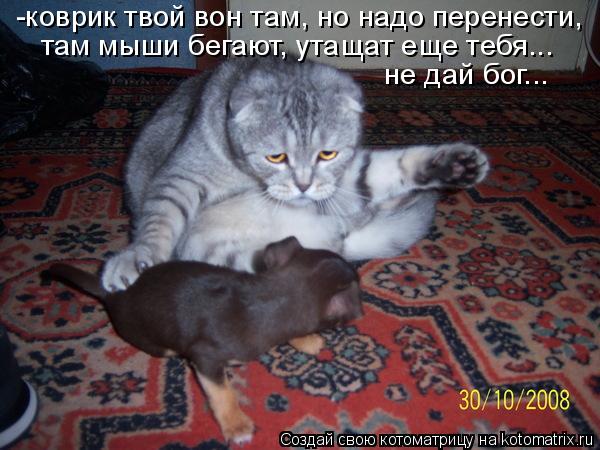 Котоматрица: -коврик твой вон там, но надо перенести, там мыши бегают, утащат еще тебя... не дай бог...