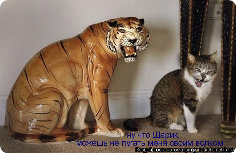 Котоматрица: можешь не пугать меня своим волком ну что Шарик,