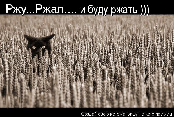 Котоматрица: Ржу...Ржал.... и буду ржать )))