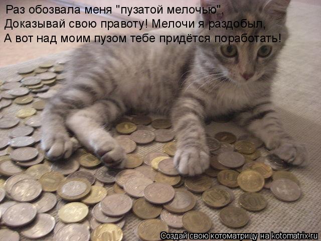 Котоматрица: Раз обозвала меня "пузатой мелочью", Доказывай свою правоту! Мелочи я раздобыл, А вот над моим пузом тебе придётся поработать!