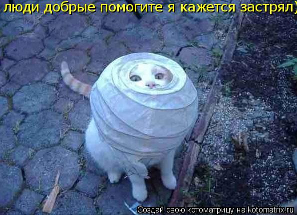 Котоматрица: люди добрые помогите я кажется застрял)