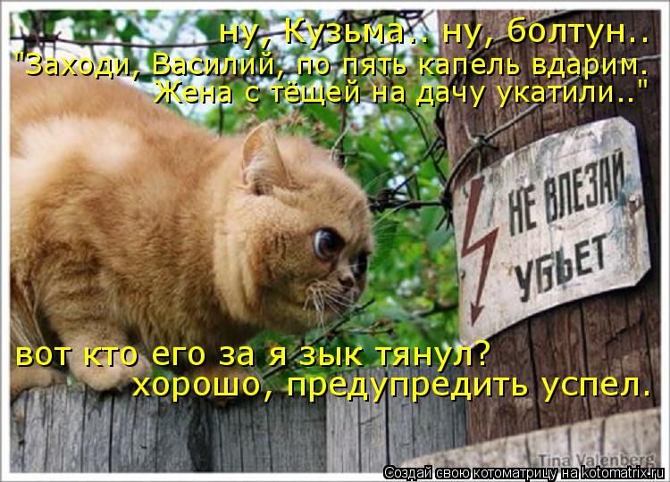 Котоматрица: ну, Кузьма.. ну, болтун.. "Заходи, Василий, по пять капель вдарим. Жена с тёщей на дачу укатили.." вот кто его за я зык тянул? хорошо, предупредить