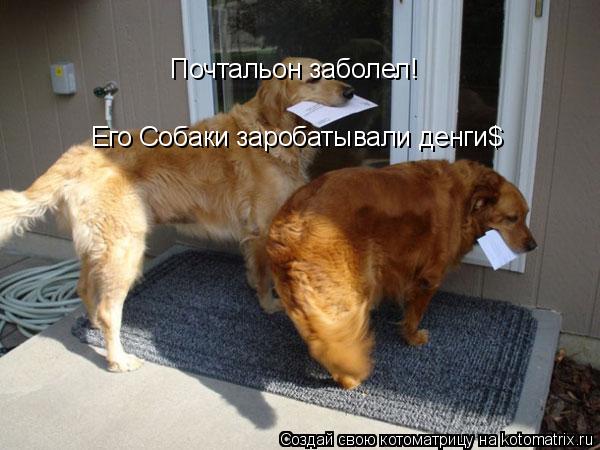 Котоматрица: Почтальон заболел! Его Собаки заробатывали денги$