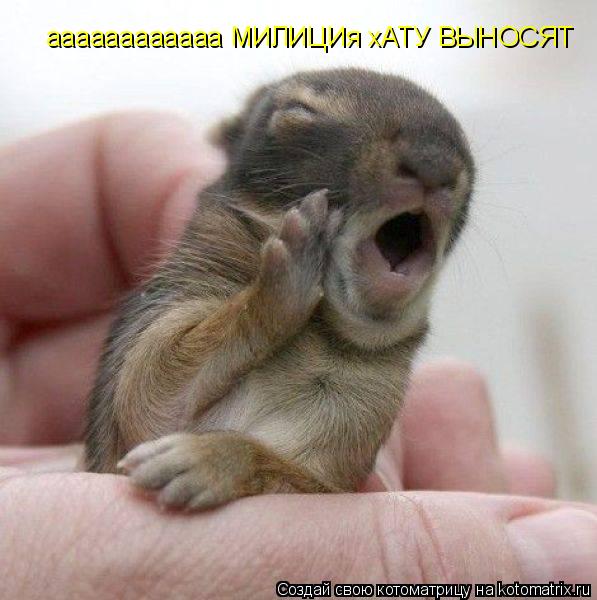 Котоматрица: aaaaaaaaaaaa МИЛИЦИя хАТУ ВЫНОСЯТ
